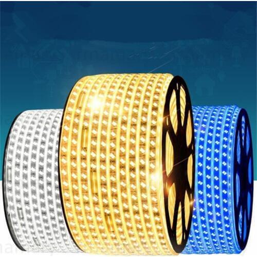 LED Strips 100meter 4plug 5730 strip 80led/Meter Christmas 220V IP67 waterproof strip outdoor garden light white/warm white/blue
