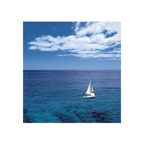 NEW ! PEVA Waterproof Fashion Bathroom Shower curtain 180cm*180cm blue Hawaii sun shine sea sailing boat curtain