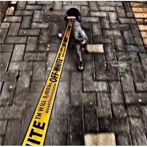 Fashion Pet Dog Collar Leash 1.6M Nylon Rope Dog Pet Leash Lead Puppy Medium Large Dogs Safety Protect Dog aa