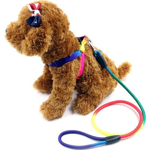 Pet Colorful Round Traction Rope Small Dog Walking Dog Chest Harness Rope Puppy Chain Dog Harness and Leash Set Dog Accessories