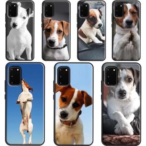 Jack Russell Terrier Dog Case For Samsung Note 20 Ultra Note 10 Plus Cover For Galaxy S20 Plus S10 e S8 S9 Coque