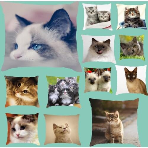 Custom Selected Couch Cushion Cat pPrinted Soft Stain Double Sided Print 45*45cm Pllow For Home Decorative Pillows Wholesale