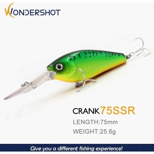 Wondershot Fishing Lure For Carp