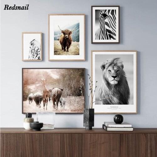 Animal Lion Zebra Elephant Cow Wall Art Diamonds Embroidery DIY Diamond painting 5D Full Drill mosaic Decor Highland Cow EE902