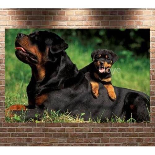 Full Square/Round 5D DIY Diamond Painting black Rottweiler Dog Embroidery Cross Stitch Mosaic picture of Rhinestones Decor TY109