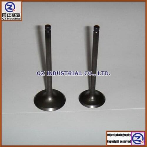 Free shipping new and original for SUZUKI motorcycle engine parts QS200 GS200 DR200 GXT200 QM200GY intake and exhaust valves