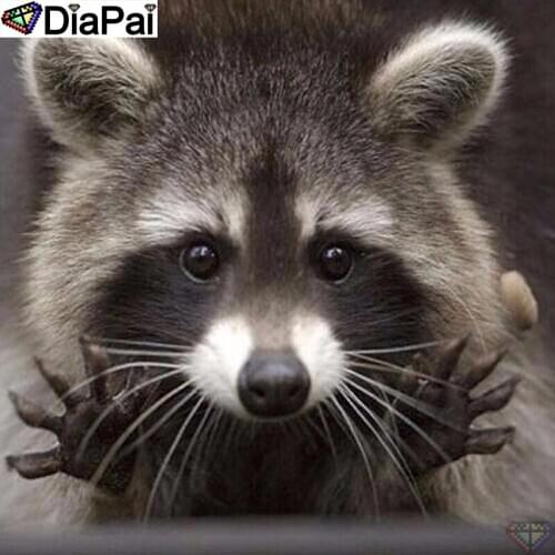 DIAPAI Full diamond Painting "Animal raccoon" Resin Drill Embroidery 5D Diy Diamond Painting Handmade Cross Stitch gift A26845