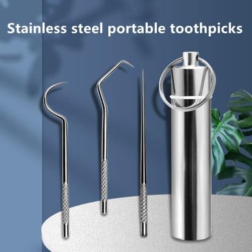 Portable Toothpicks Pocket Set Stainless Steel Reusable Metal Toothpicks with Holder for Outdoor Picnic Camping Traveling Tools