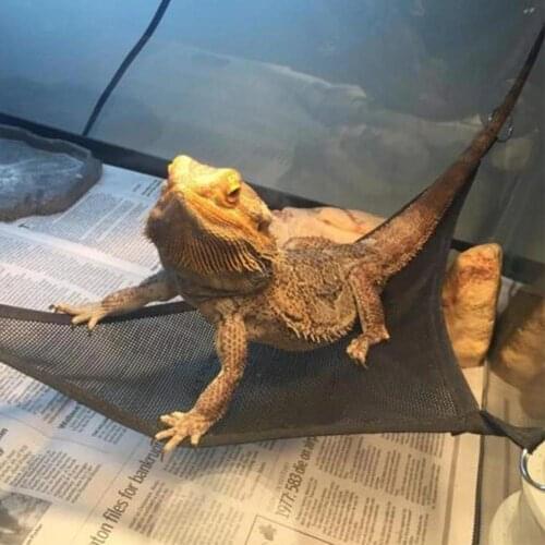 2pcs Reptile Hammock Lounger Ladder Accessory For Large Small Anole Geckos Lizards Snakes Mult-color Triangle Hammock For Animal