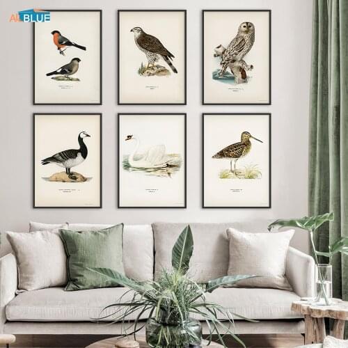 Retro Mural Oviparous Vertebrate Poster Birds Canvas Painting Eagle Bird Picture Collection Wall Art Prints Home Room Decoration