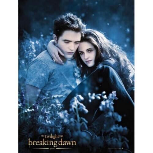 5D DIY Diamond Embroidery Square/Round Diamond Painting Twilight Movie Poster Wall Art Decoration Home Decoration