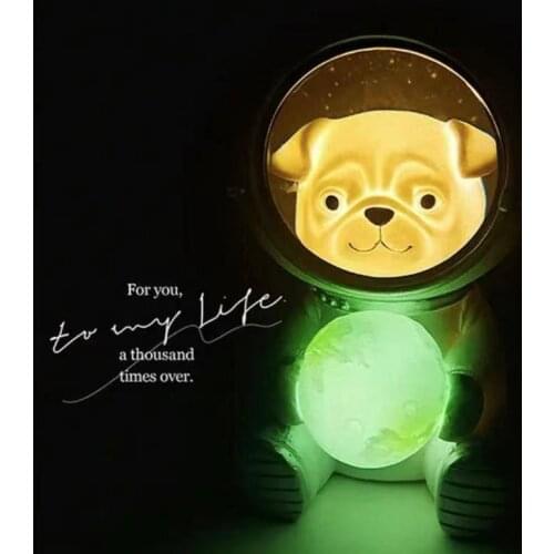 Creative Cute Galaxy Guardian Cute Pet Spaceman Night Light Modern Animal Lamp Bedroom Ornaments Star Lamp Gift for Kids