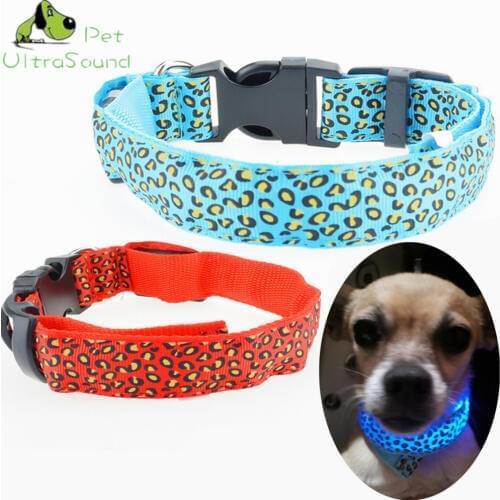 Ultrasound Pet Professional Lighting