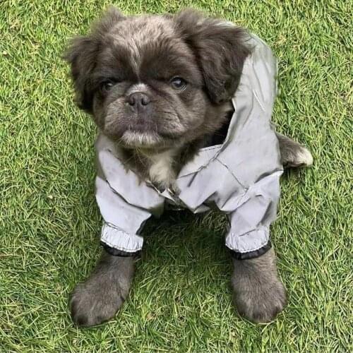 Pet Dog Windbreaker Reflective Outdoor Jacket Waterproof Raincoat Clothes Puppy Coat for Small Medium Dogs French Bulldog HNC04