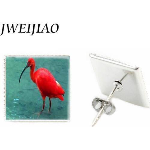 JWEIJIAO Hot Sale Cuspirostrisornis Art Picture Animal Bird Stud Earrings Earrings Female Girl Jewelry Birthday Gift J577