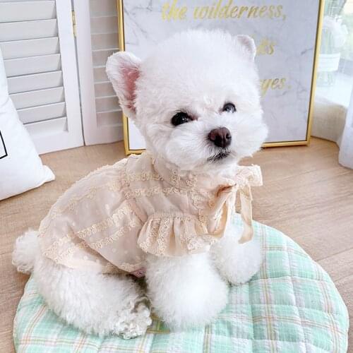 Chiffon Dog Dress Cat Skirt Summer Dog Clothes Chihuahua Yorkshire Pomeranian Clothing Puppy XXS Small Dog Costume Dresses