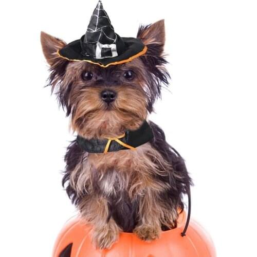 Halloween Pet Cape Halloween Cape Set Costume Dog Cat Hat Halloween Hat Pet Accessories Pet Supplies