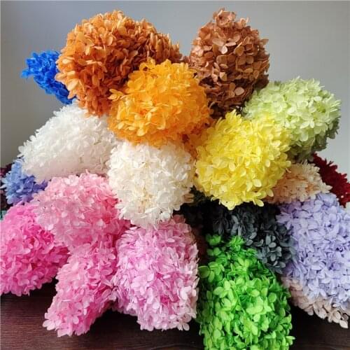 15-18cm Head,Preserved Real Hydrangea with stem,Nature Eternelle display flowers for Wedding party Home Decoration accessories