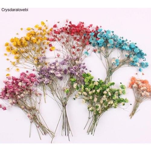120pcs Pressed Dried Flower Gypsophila Paniculata Filler For Epoxy Resin Jewelry Making Postcard Frame Phone Case Craft DIY