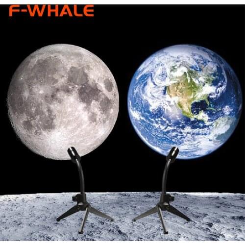 F-WHALE Lighting