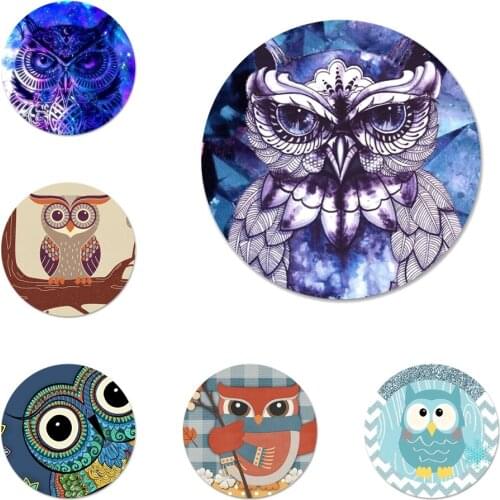 58mm cute owl animal Badge Brooch Pin Accessories For Clothes Backpack Decoration gift