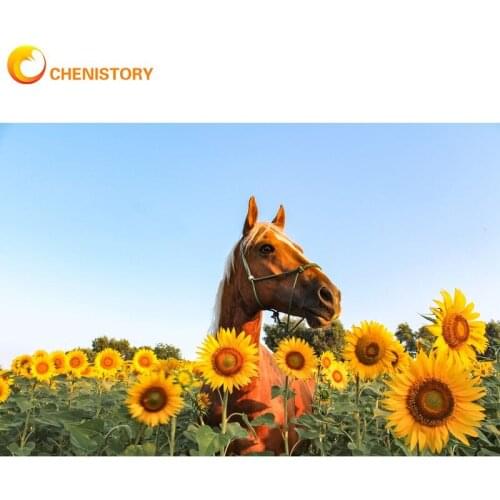 CHENISTORY 5D Diamond Painting Flowers Sunflower Diamond Embroidery Horse Animal Pictures Of Rhinestones Mosaic Decortion