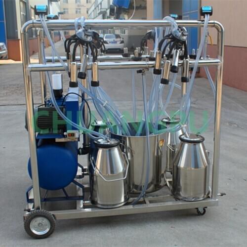 Dairy cow milking machinery