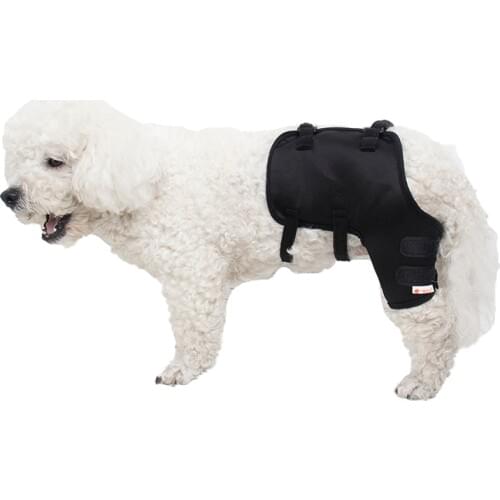 After Surgery Wear Hip and Thigh Wound Protective Sleeve for Dogs Dog Recovery Sleeve For Left Hind Legs