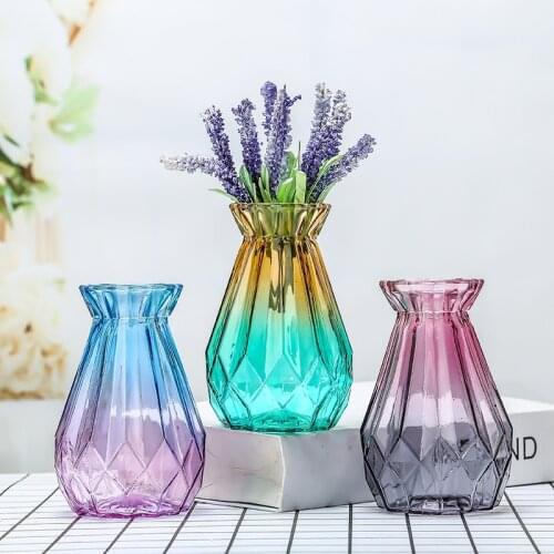 Simple Nordic vase glass gradient transparent living room table ornaments rich bamboo flowers dried lily vase