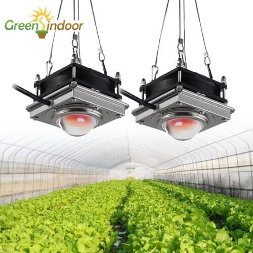 COB Led Grow Light Full Spectrum 150W Phyto Lamp For Plants Flowers Grow Tent Room Indoor Lighting For Seedlings lettuce Growing