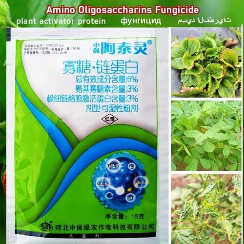 Fungicide Plant Activator Protein Amino Oligosaccharins Alternaria Nees Treatment of Viral Disease Garden Growth Fertilizer