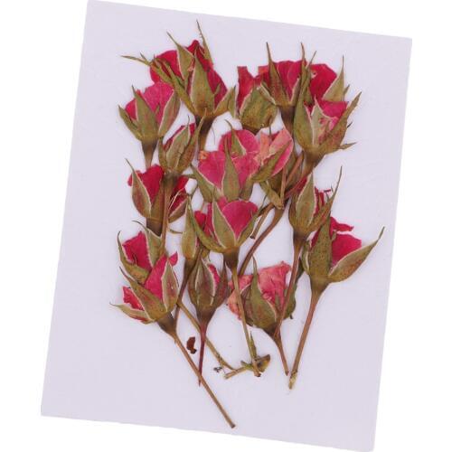 20 Pieces Pressed Natural Real Dried Flowers Rose Flower for DIY Resin Ornament Craft Christmas Xmas Card Making Decoration