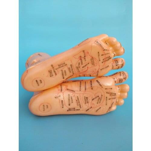 19cm Foot reflex zone massage model, not acupuncture model, English code TCM Feet Reflexology, 2pcs = 1 pair free shipping