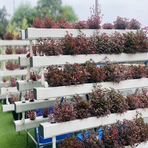 3.8M Length A Types Hydroponics PVC Channel Growing System Kits for Indoor Farm Greenhouse