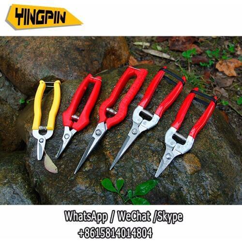 Pro Plant Pruning Scissors Garden Cutter Gardening Bonsai Tools Grass Flower Shears Secator Grafting pruner Hand Pruner Tool
