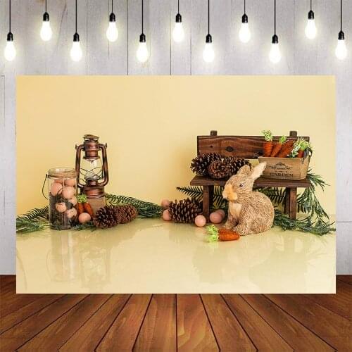 Mehofond Photography Background Spring Carrot Rabbit Eggs Baby Child Party Decoration Photophone Photo Backdrops
