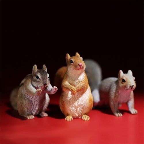 Mr.Z Studio 1:6 3Pcs Squirrel Pet Figure Sciuridae Animal Collector Model Toy Kid Gift Resin Ornaments Healing Small Jewelry