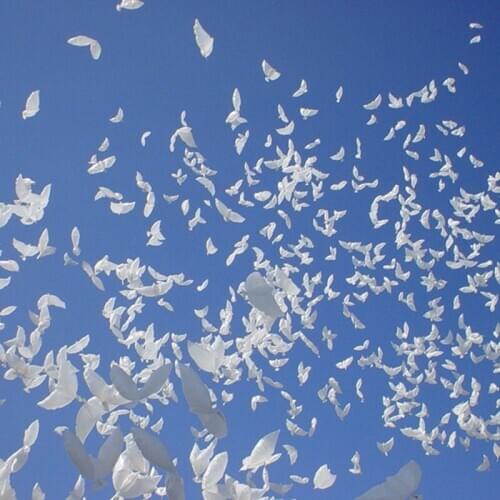 1pc Eco Flying White Dove Balloons Helium Pigeon Wedding Decoration Peace Bird Air Ball Party Supplies Photo Props