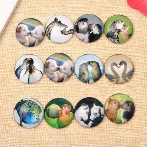 Reidgaller mixed kissing dogs swan rabbit bird animal photo round dome flatback glass cabochon 10mm 12mm 14m 18mm 20mm 25mm