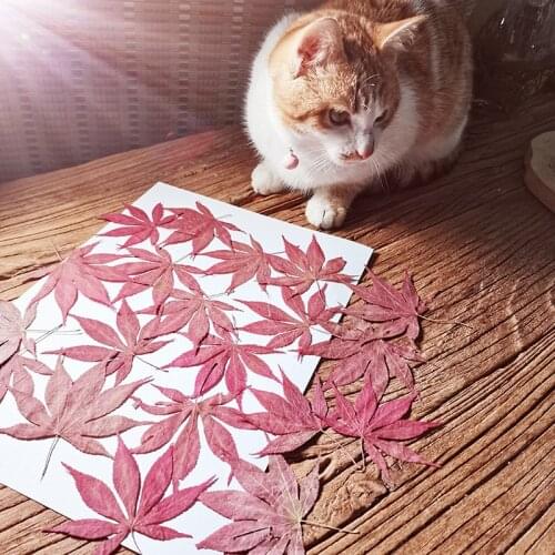 Decorative Items For The Mobile Phone Shell Of Red Yellow Green Maple Leaf Home Desk Room Decoration Accessories Deco