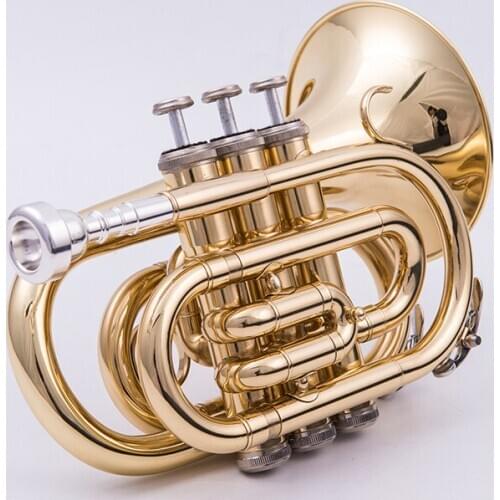 Naiputesi Mini Pocket Trumpet B Flat Brass Wind Instrument Portable Mini professional Lacquer gold Trompete trompeta with Case