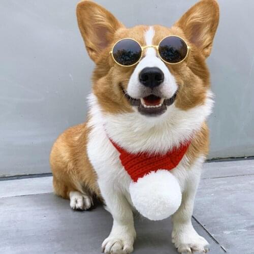 2021 Pet Knitted Scarf Lovely Dog Cat Christmas Ornaments Creative Collar Knitted Fabrics Short Plush XS-L Pet Accesorios