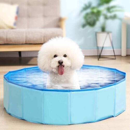 Hotsale Foldable Dog Pool Pet Bath Swimming Tub Bathtub Outdoor Indoor Collapsible Bathing Pool for Dogs Cats Kids Pool