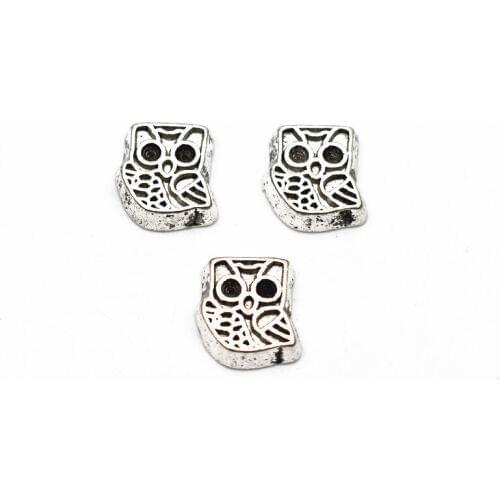 Hot selling 10pcs/lot owl Floating charms Alloy Charms Living glass Memory Lockets DIY Jewelry