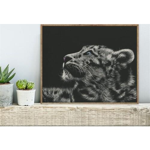 Big Cats Snow Leopards Head Black Pictures Living Room Wall Art Decor Animal No Frame Poster Oil Painting Decoration