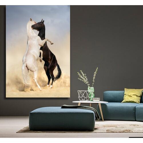 5D DIY square/round Diamond painting horse Cross Stitch Diamond Embroidery Pattern Rhinestone home decor J1155