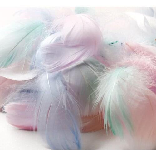 HOUSEEN Decorative Feathers