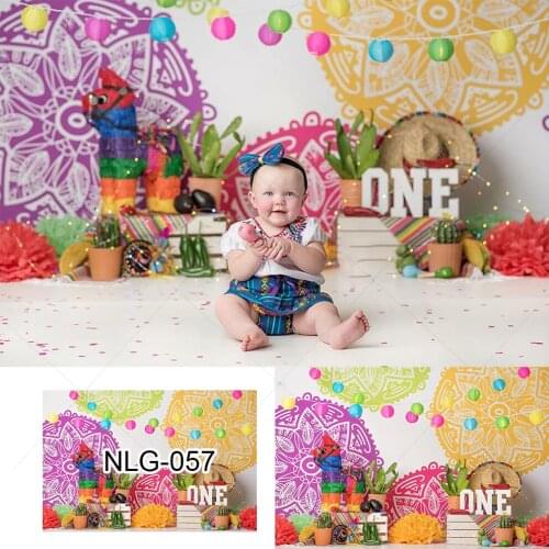 Mexican Fiesta Party Backdrop Cinco De Mayo Mexico Festival Birthday Party Decorations Background Photography Photo Booth Studio