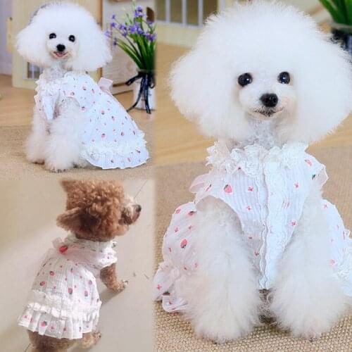 Strawberry Dog Dress Summer Pet Clothing Princess Skirt Cat Pomeranian Shih Tzu maltese Bichon Podle Yorkshire Schnauzer Clothes