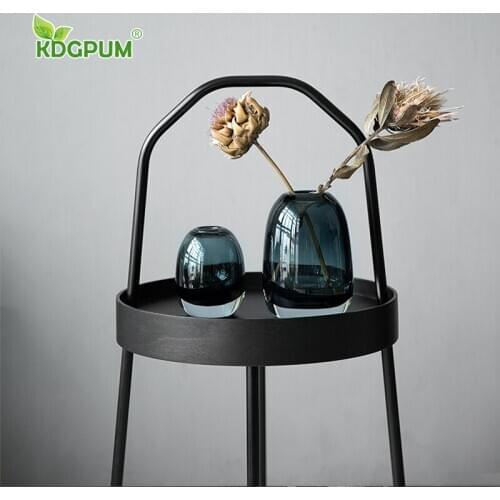 Modern Creative Glass Container Vase Thickened Transparent Hydroponic Flower Pot Nordic Retro Crafts Home Decoration Ornaments